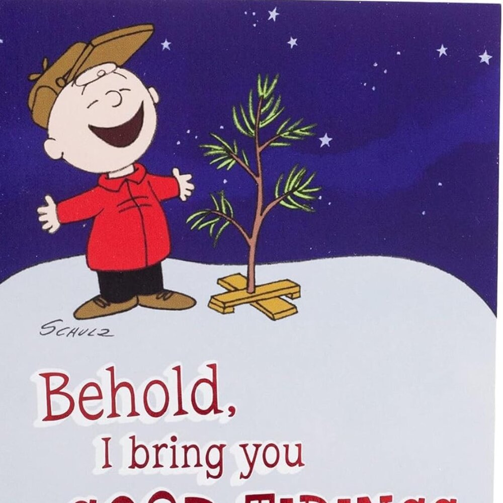 10 DaySpring Christmas Cards Peanuts Charlie Brown Good Tidings Great Joy KJV - Picture 2 of 8